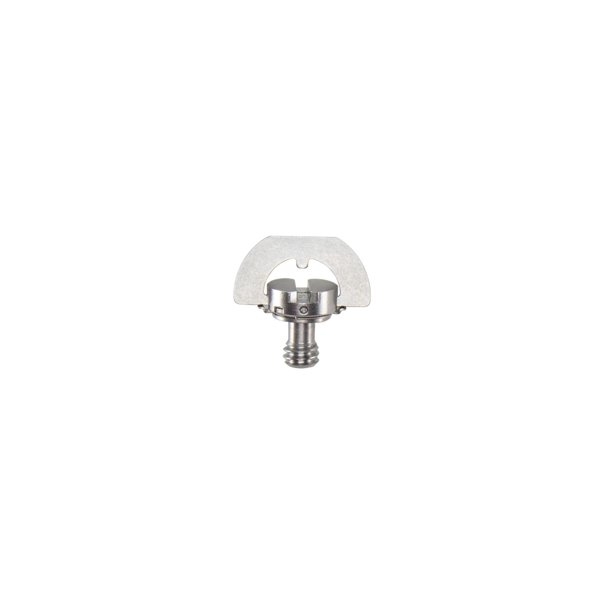 D-Ring Camera Mounting Screw 1/4"-20