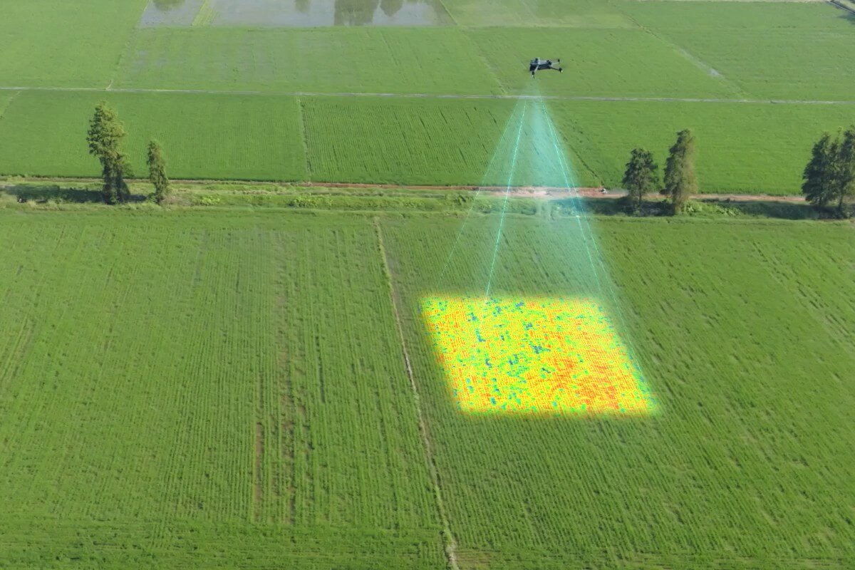 Иллюстрация DJI: мультиспектральное обследование сельскохозяйственного поля